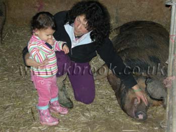 Oxford Sandy and Black Pig