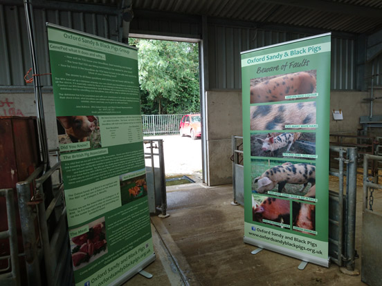 Oxford Sandy and Black Pig banners