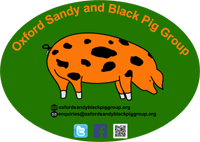Oxford Sandy and Black Pig Group